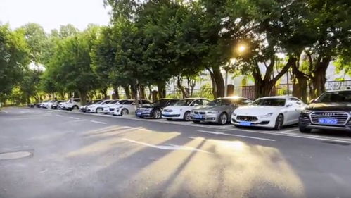 深圳開啟“柜臺辦”便捷服務新時代